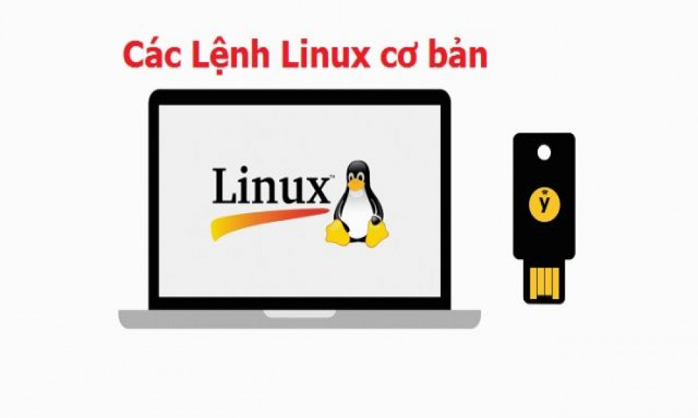 Các lệnh cơ bản trong Linux
