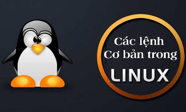 Khám phá các lệnh cơ bản trong Linux