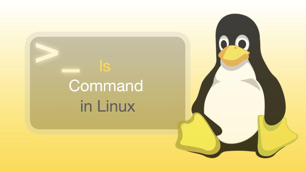 Lệnh ls trong Linux