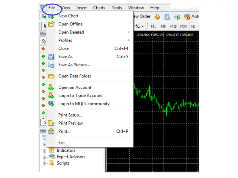 Cách sử dụng MetaTrader 4 - Tab File