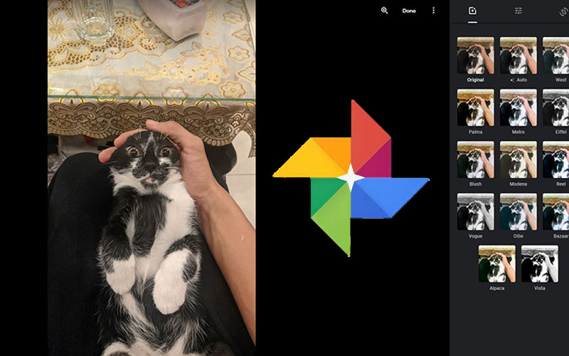 Phần mềm cắt ảnh Google Photos