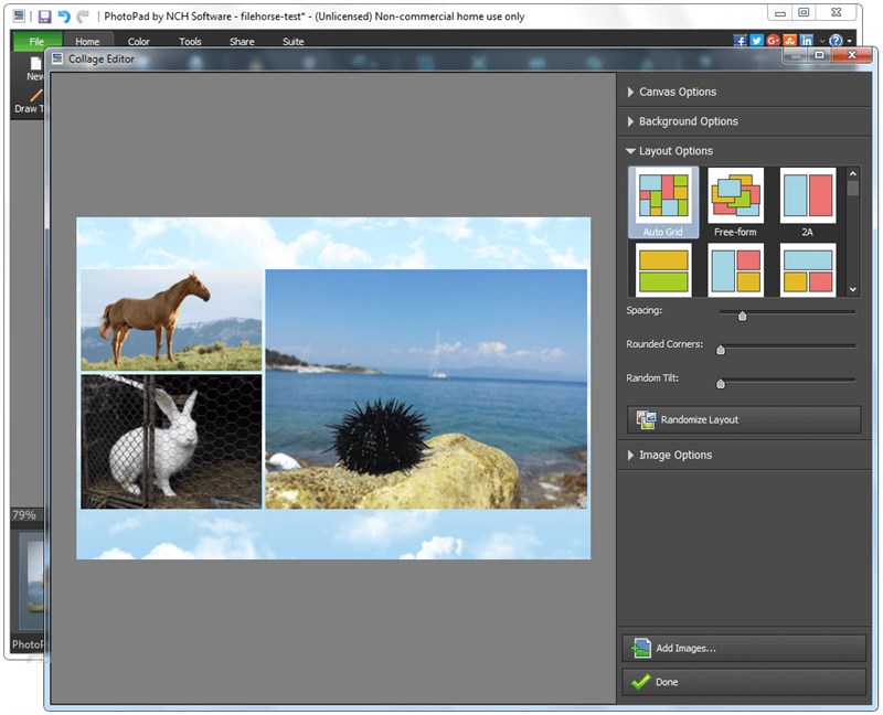 Phần mềm cắt, chỉnh sửa ảnh PhotoPad Image Editor