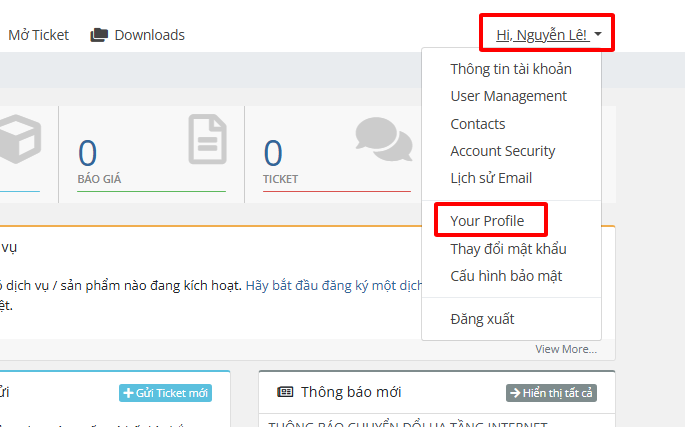 Chọn Your Profile trên menu xổ xuống