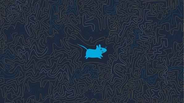 màn hình XFCE sẽ hiện ra