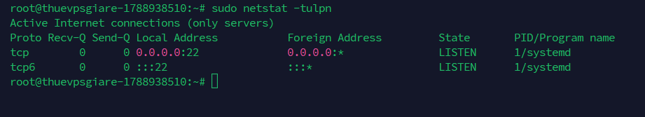 Kiểm tra toàn bộ cổng mạng đang mở với netstat -tulpn