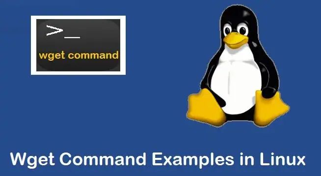 Lệnh Wget trên Linux là gì
