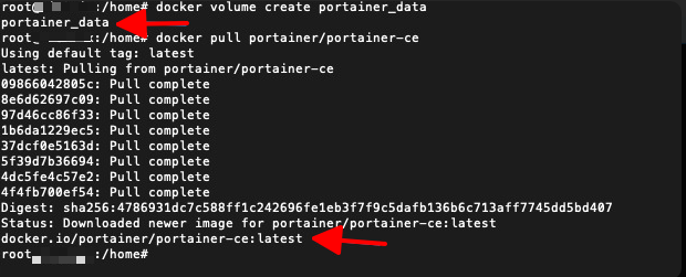 tạo volume lưu dữ liệu Portainer trên VPS
