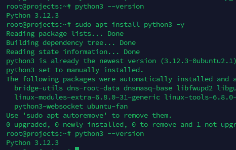 Cài đặt Python 3