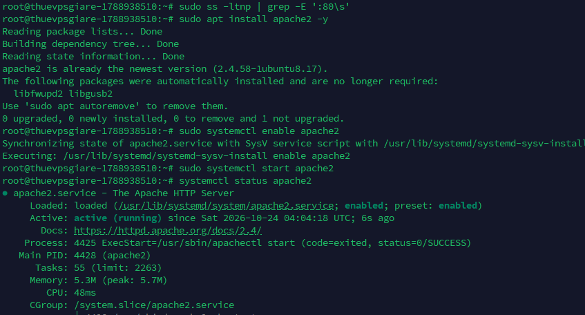 Cài đặt và kích hoạt máy chủ web Apache