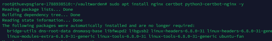Chạy lệnh cài đặt Nginx