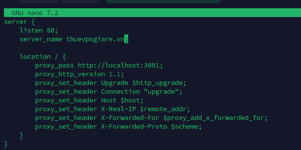 Tạo tệp cấu hình Virtual Host Nginx
