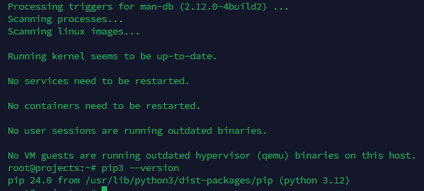 Thiết Lập Trình Quản Lý Gói Pip Cho Python 3