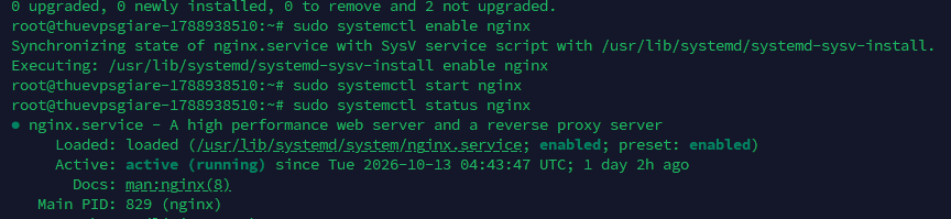 trạng thái Nginx đang kích hoạt