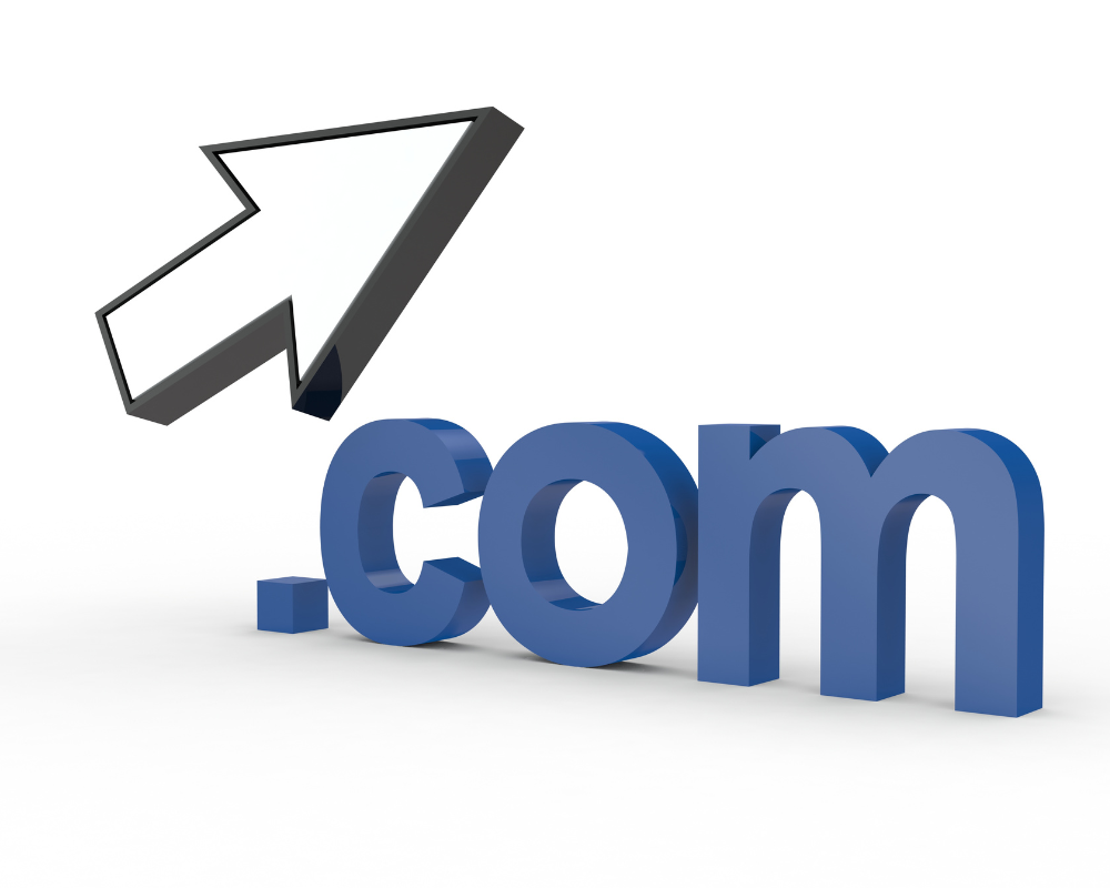 Company Domain