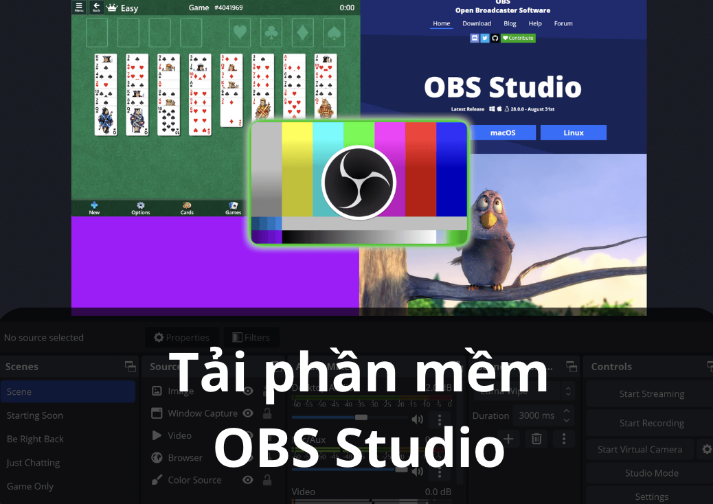 Tải Phần Mềm OBS Studio